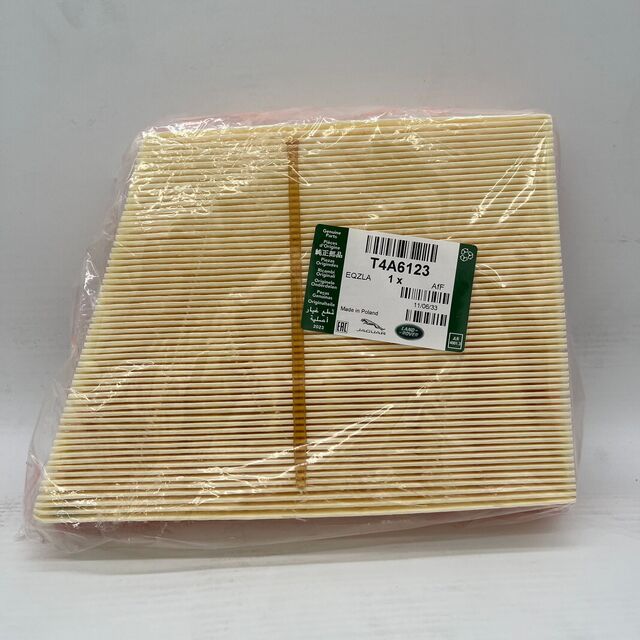Jaguar Genuine Engine Air Filter - T4A6123