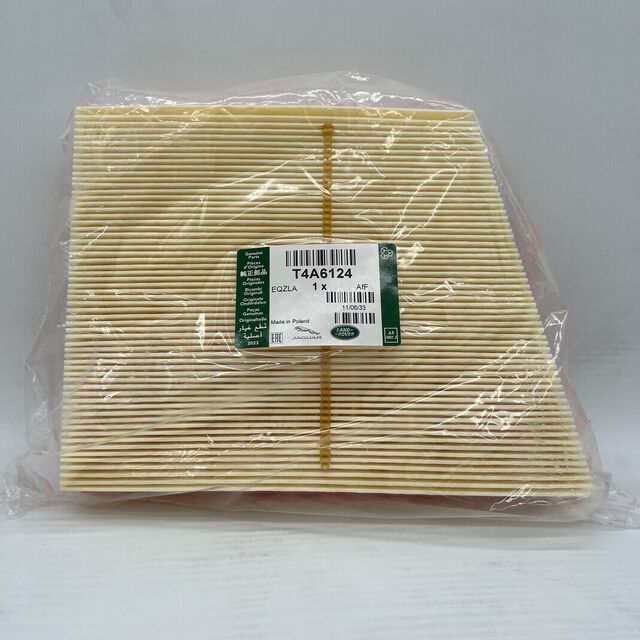 Jaguar Genuine Engine Air Filter - T4A6124