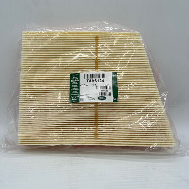 Jaguar Genuine Engine Air Filter - T4A6124